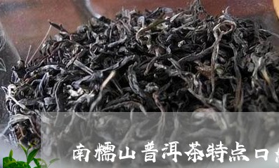 南糯山普洱茶特点口感/2023072444726