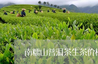 南糯山普洱茶生茶价格357克/2023110241615