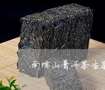 南糯山普洱茶生茶价格380g/2023110278272