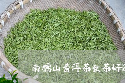 南糯山普洱茶生茶好还是熟茶好/2023082697169