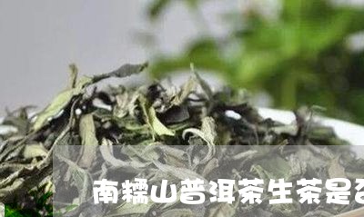 南糯山普洱茶生茶是否有保存价值/2023082658271