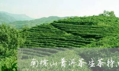 南糯山普洱茶生茶特点/2023073038480