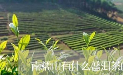 南糯山有什么普洱茶的特点/2023082901503