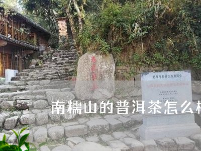 南糯山的普洱茶怎么样/2023072172047