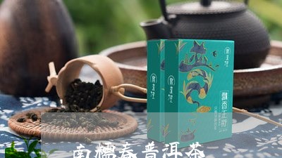 南糯春普洱茶/2023081877460