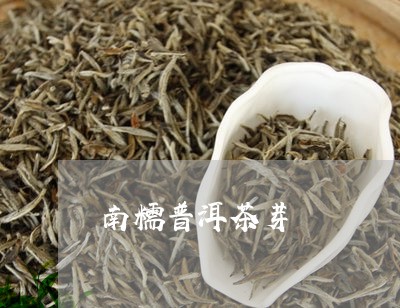 南糯普洱茶芽/2023090658504