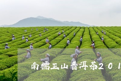 南糯正山普洱茶2019/2023102472493