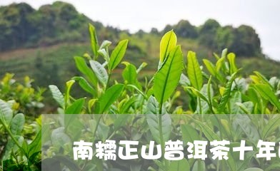 南糯正山普洱茶十年的/2023092596270