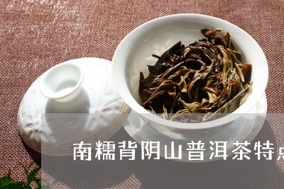 南糯背阴山普洱茶特点/2023092973935