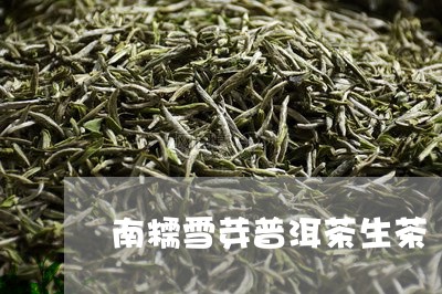 南糯雪芽普洱茶生茶/2023101623806