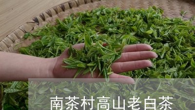 南茶村高山老白茶/2023073196340