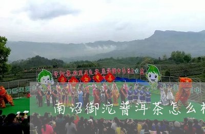 南诏御沱普洱茶怎么样/2023072340483