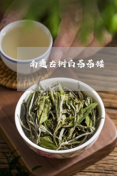 南通古树白茶茶楼/2023061360591