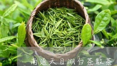 南通天目湖白茶散茶/2023081309593