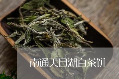 南通天目湖白茶饼/2023061381403