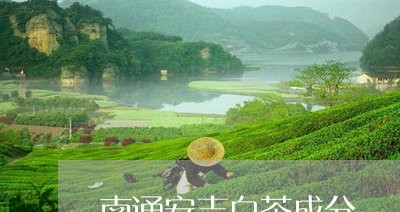 南通安吉白茶成分/2023061340484