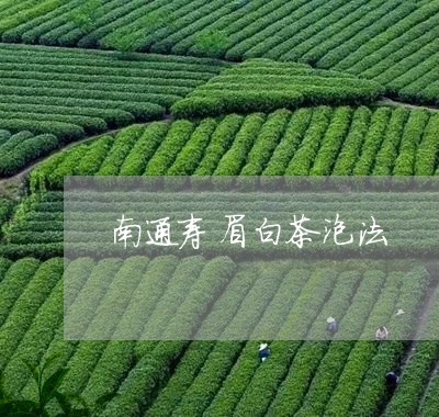 南通寿眉白茶泡法/2023061358481