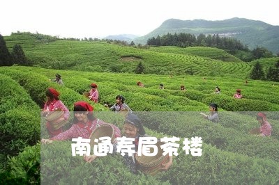 南通寿眉茶楼/2023051305260