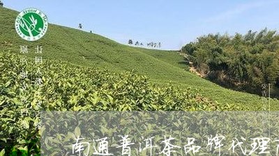 南通普洱茶品牌代理商/2023061463968