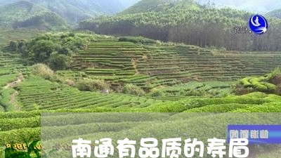 南通有品质的寿眉/2023090807581