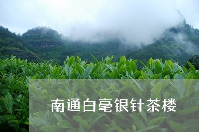 南通白毫银针茶楼/2023061361958