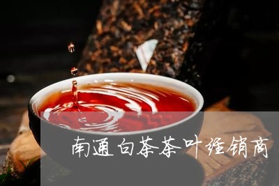 南通白茶茶叶经销商/2023081373625