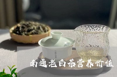 南通老白茶营养价值/2023121785947