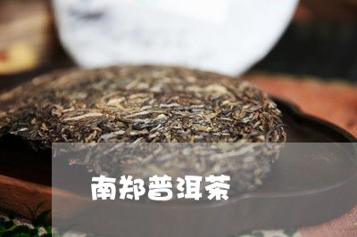 南郑普洱茶/2023090581693