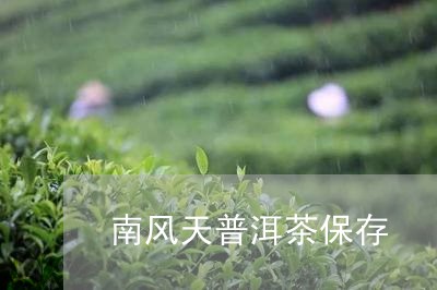 南风天普洱茶保存/2023081647958