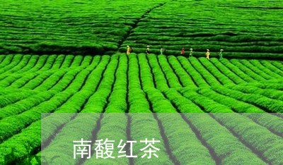 南馥红茶/2023121924736