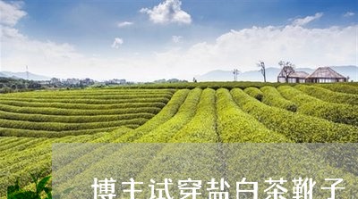 博主试穿盐白茶靴子/2023071601836