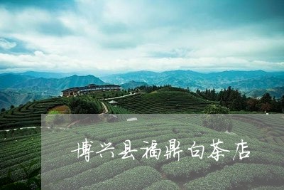 博兴县福鼎白茶店/2023061357169