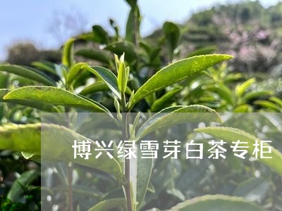 博兴绿雪芽白茶专柜/2023071653069