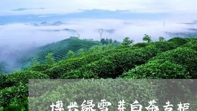 博兴绿雪芽白茶专柜/2023081391037