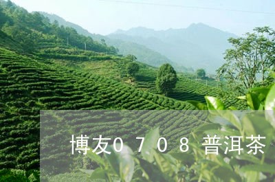 博友0708普洱茶/2023101717494