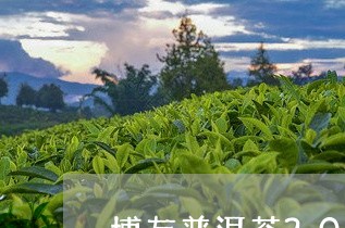 博友普洱茶2005年/2023062487262