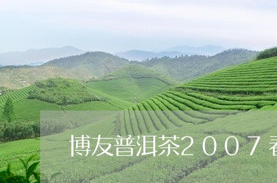 博友普洱茶2007春节纪念茶/2023053095158