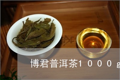 博君普洱茶1000g/2023092906370