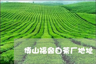 博山福鼎白茶厂地址/2023081390425