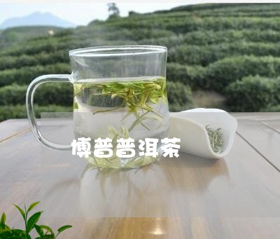 博普普洱茶/2023102530604