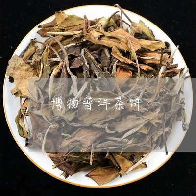 博物普洱茶饼/2023091325039