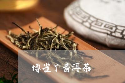 博雀丫普洱茶/2023042881950