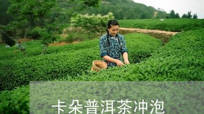 卡朵普洱茶冲泡/2023120346371