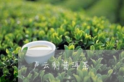 卢云制普洱茶/2023042992595