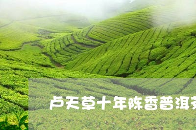 卢天草十年陈香普洱茶真的好吗/2023053002846