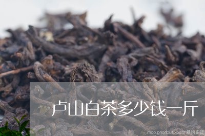 卢山白茶多少钱一斤/2023121700602