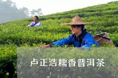 卢正浩糯香普洱茶/2023101693803