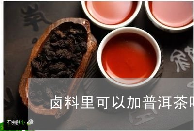 卤料里可以加普洱茶吗/2023061756147