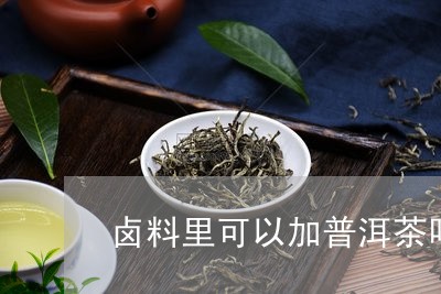 卤料里可以加普洱茶吗/2023092805148