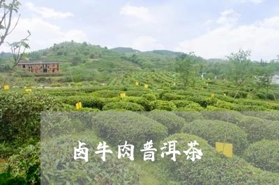 卤牛肉普洱茶/2023042627172